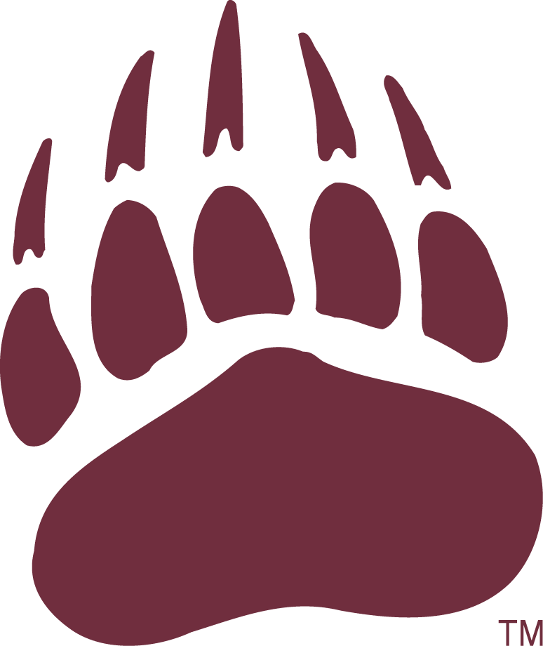 Montana Grizzlies 1996-Pres Secondary Logo v2 DIY iron on transfer (heat transfer)